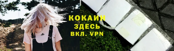 спиды Бородино