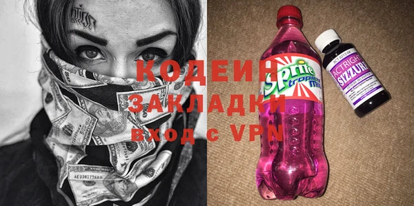 спиды Бородино