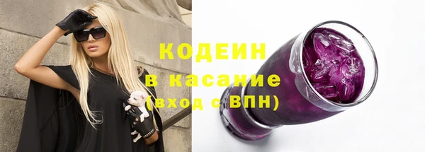 спиды Бородино