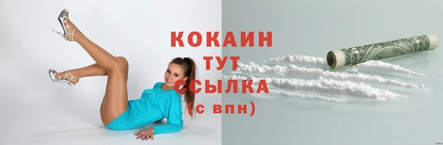 спиды Бородино