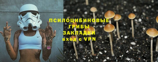 Альфа ПВП Бугульма
