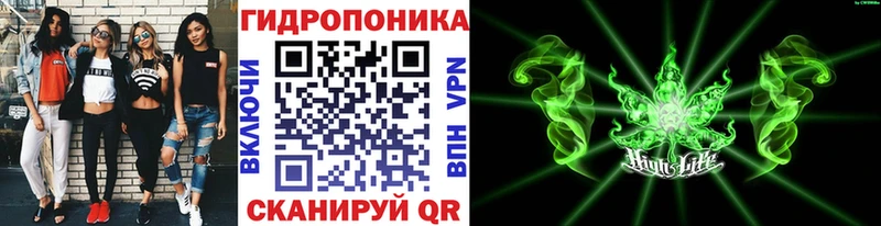 Каннабис гибрид  Ядрин 